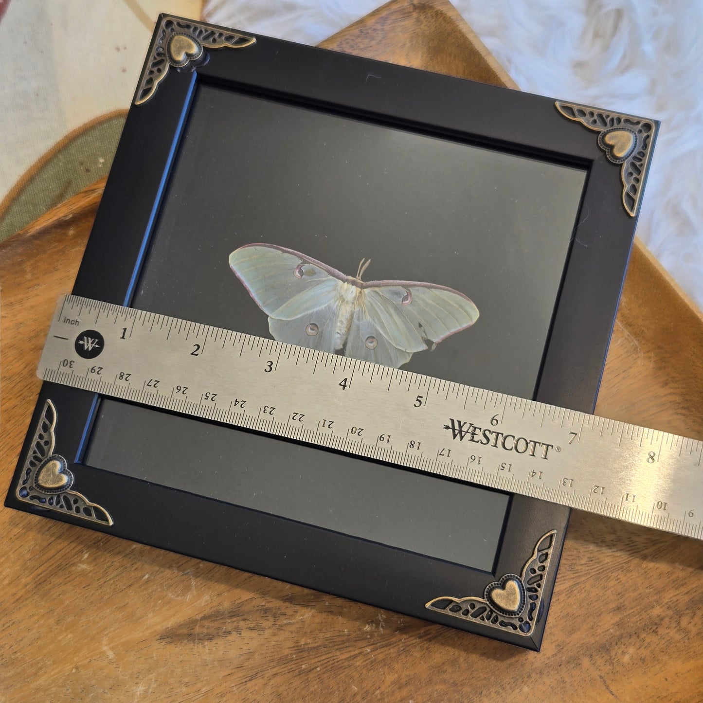 You Pick Framed Luna Moth