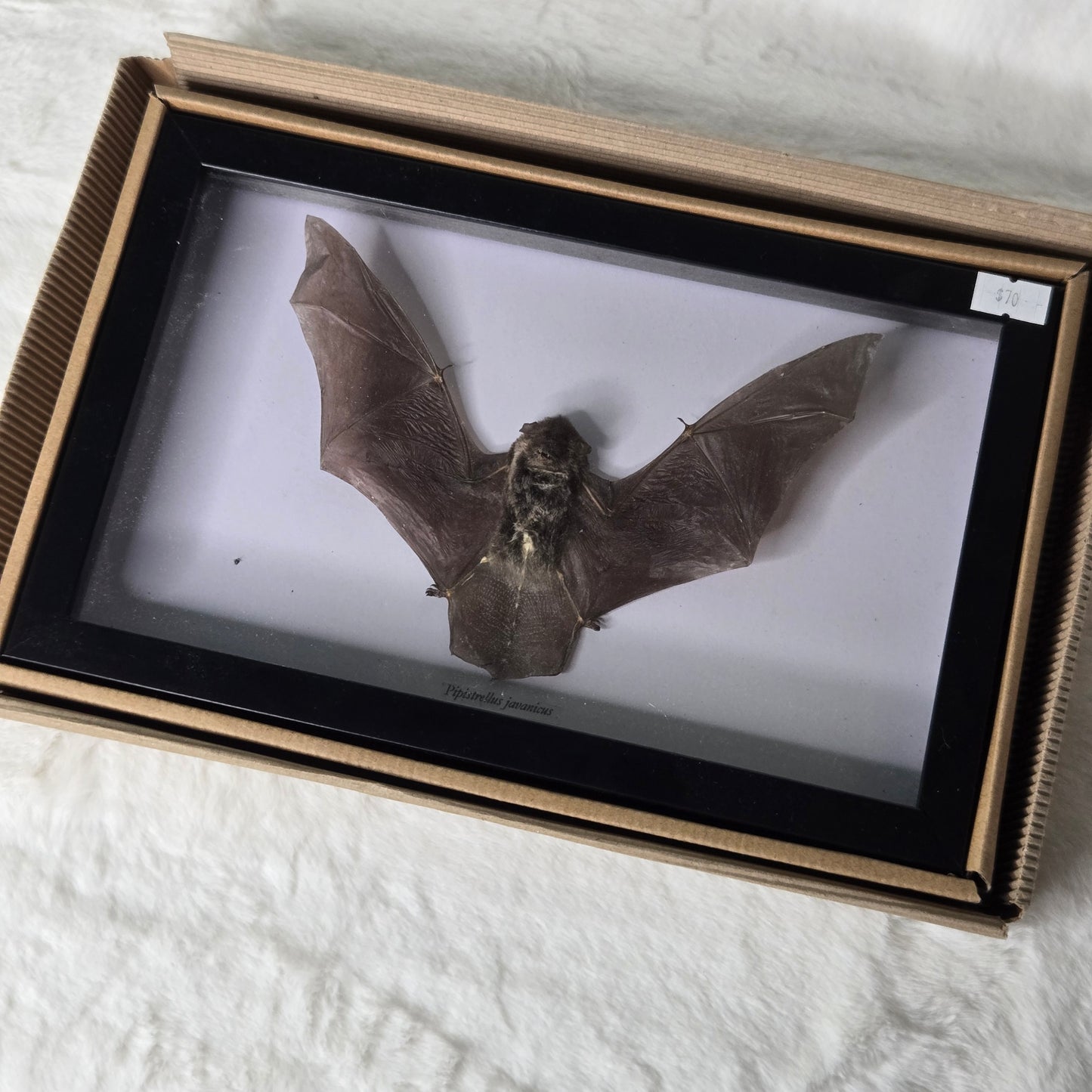 z@ kristinabarnett 12/19