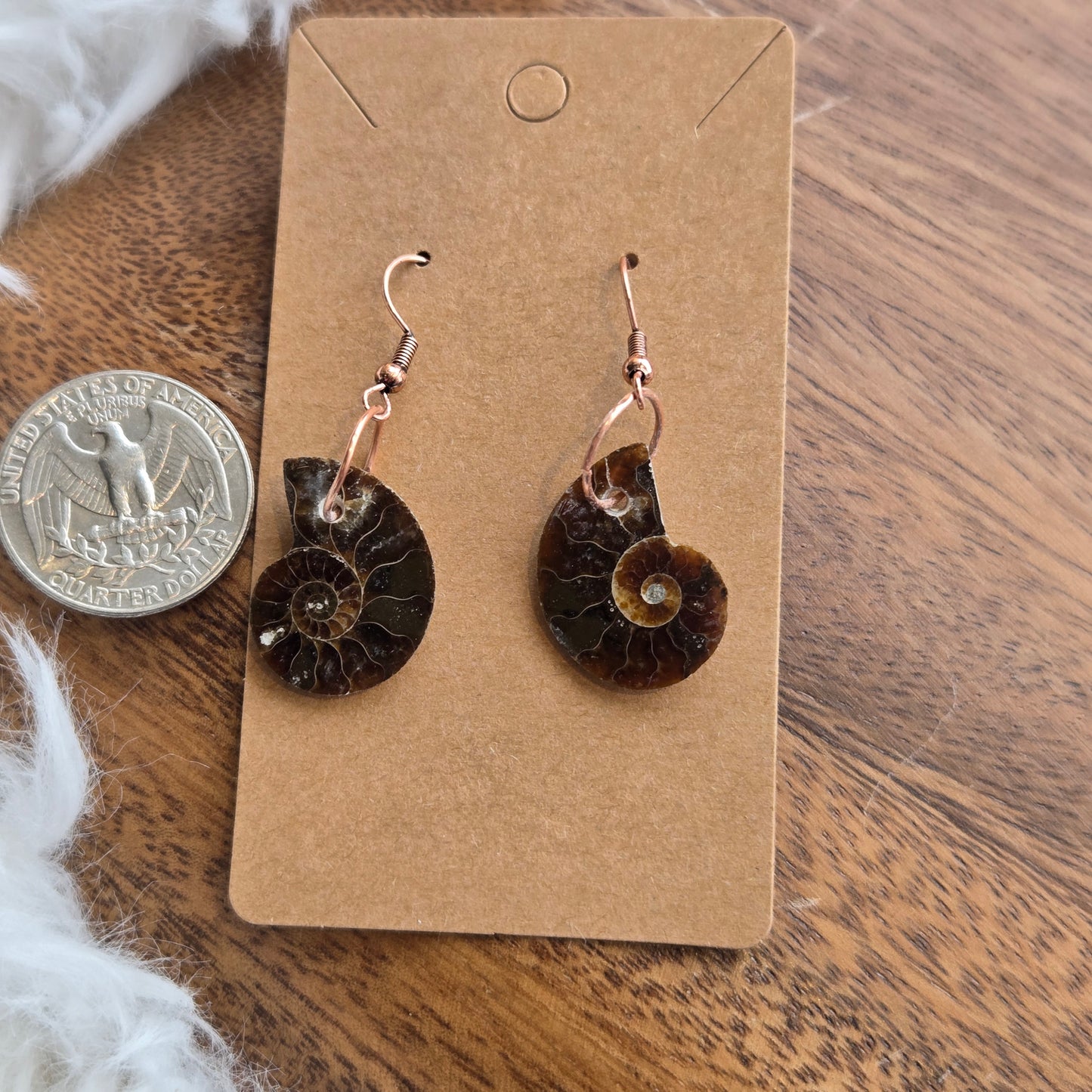 Ammonite (Sliced) Earrings 1427