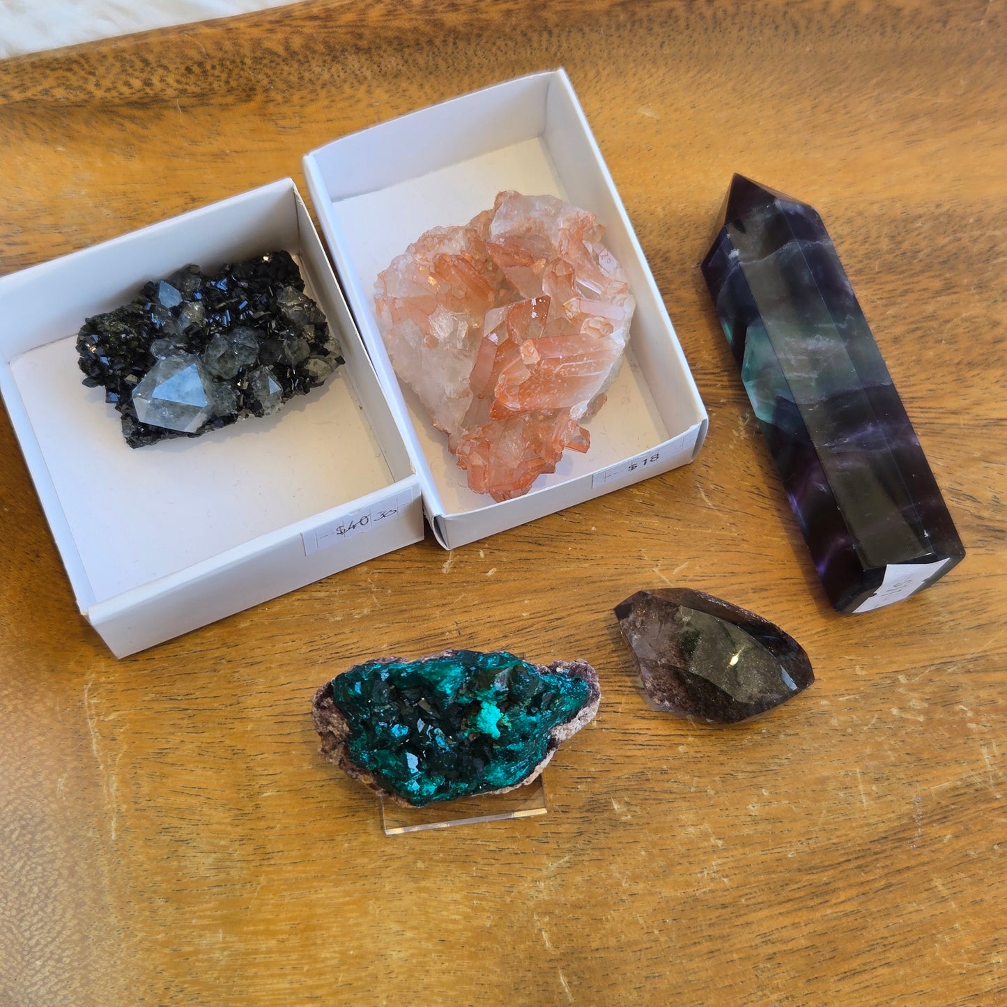 z@ justonemorecat 2/6