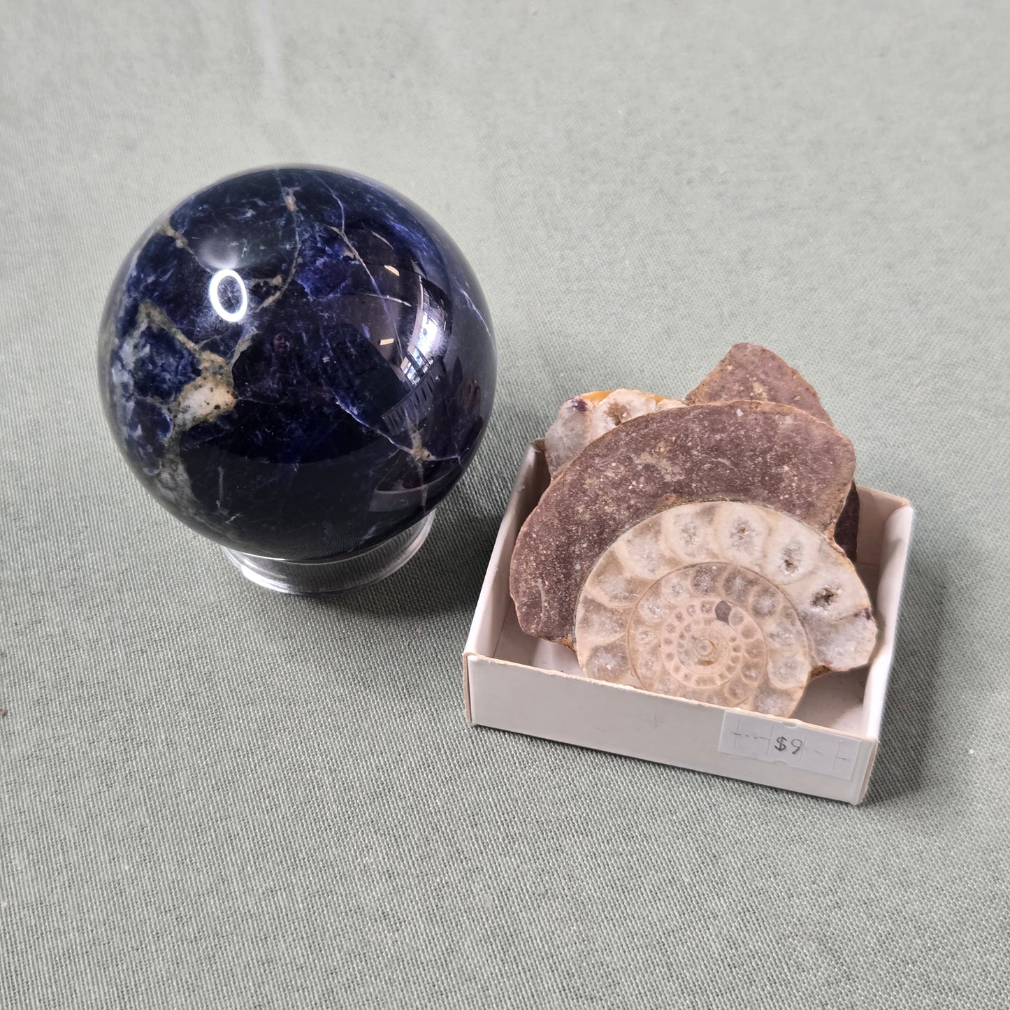 z@ rolo 6/19