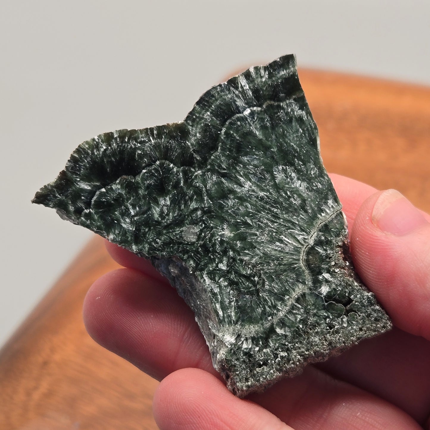Seraphinite Slab 098