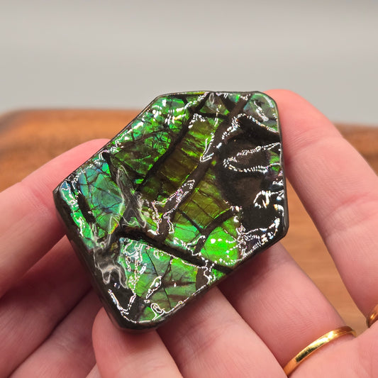 Ammolite 124