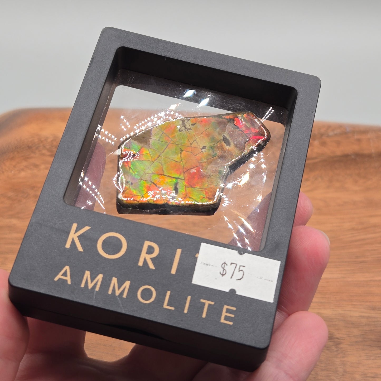 Ammolite 126