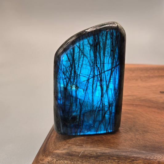 Labradorite Freeform 254