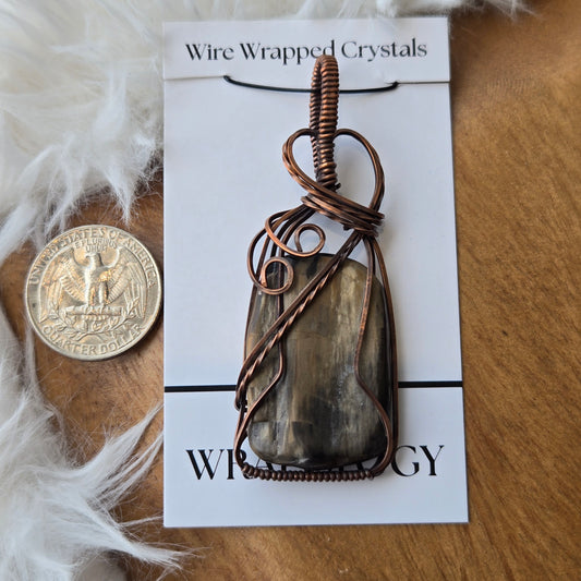 Petrified Wood 1179