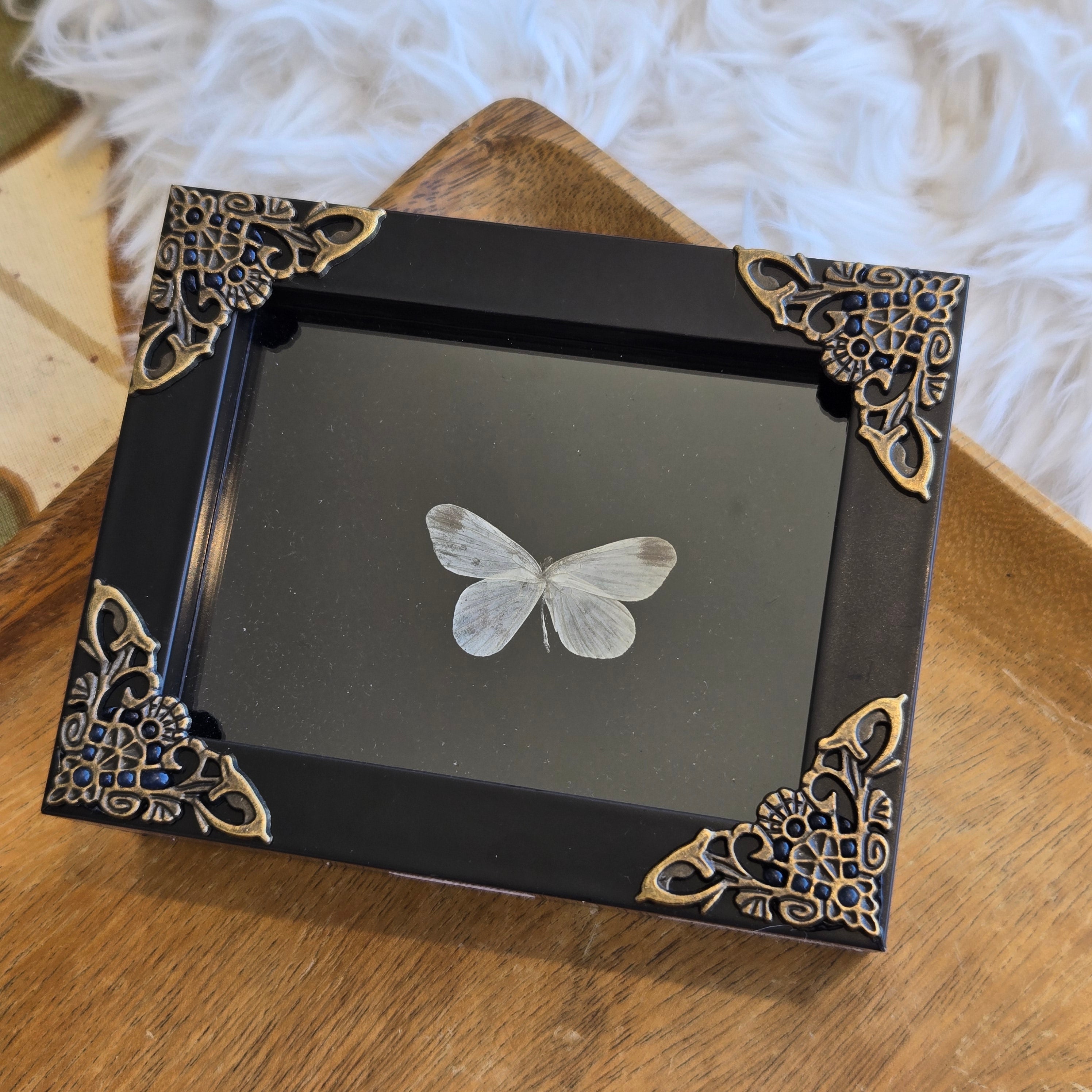 Cabbage Butterfly Frame – Sixth Dimension Crystals