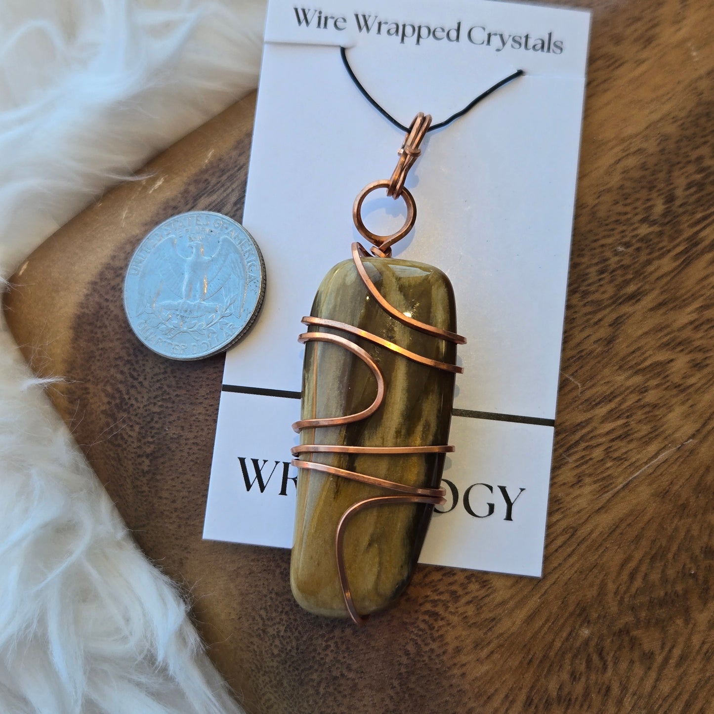 So. Dakota Petrified Wood (F) 1294