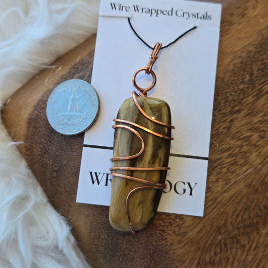 So. Dakota Petrified Wood (F) 1294