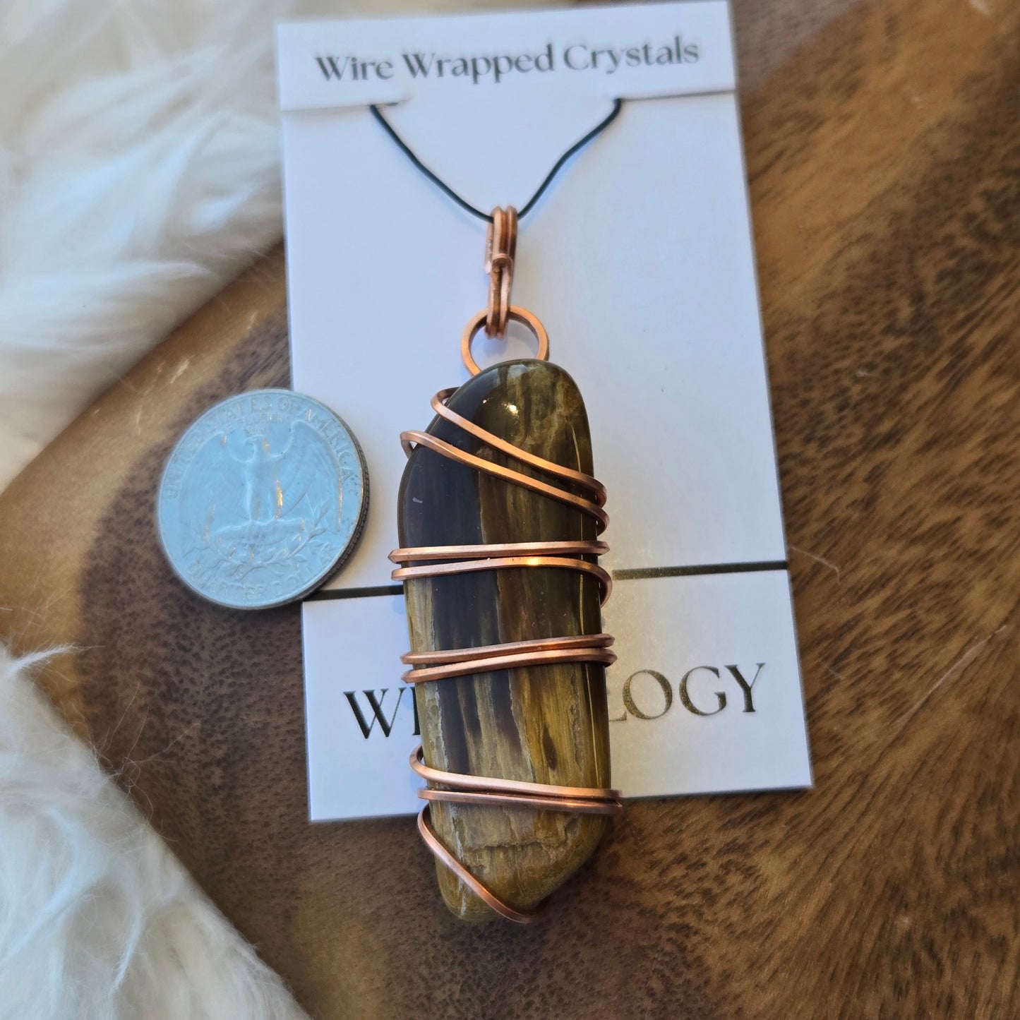 So. Dakota Petrified Wood (E) 1293