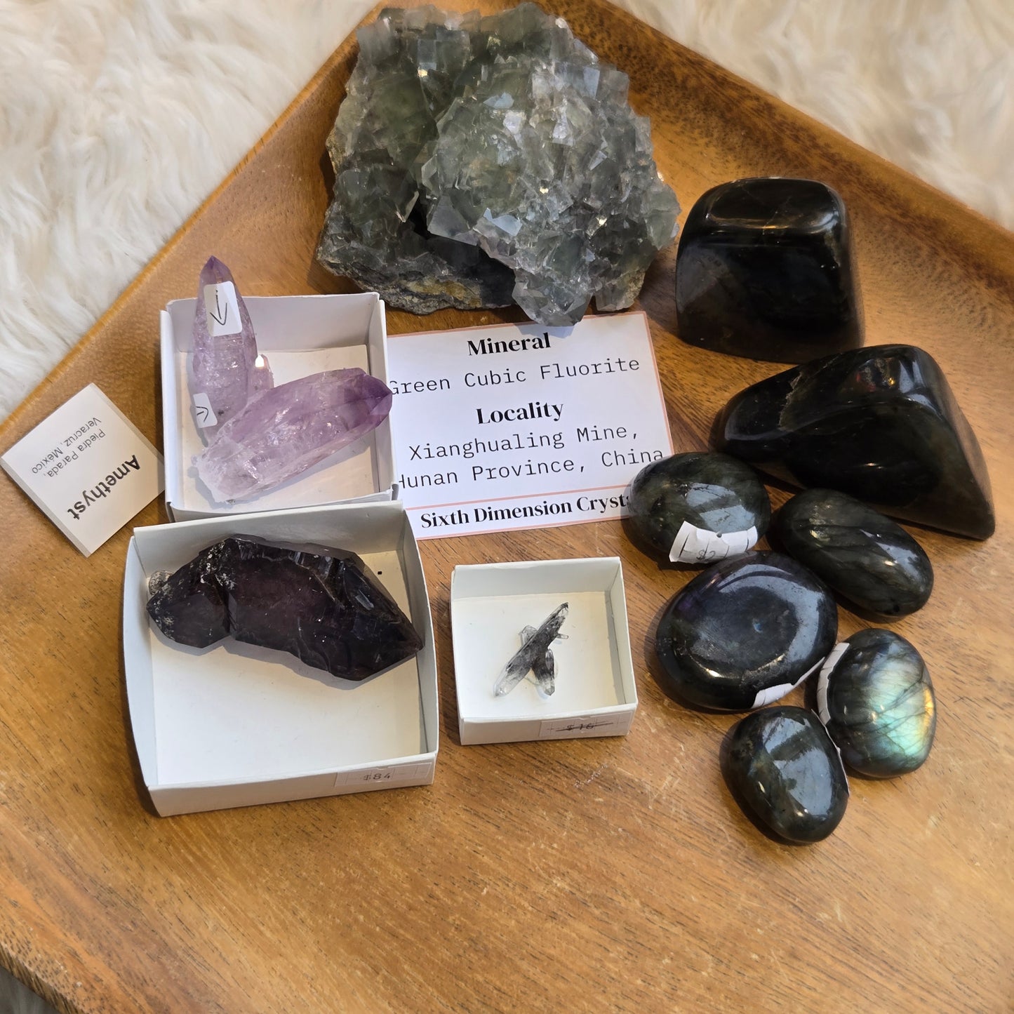 z@ paigecho 12/12 P.2