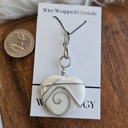 Shiva Eye Shell 1378