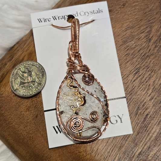 Crazy Lace Agate 1389