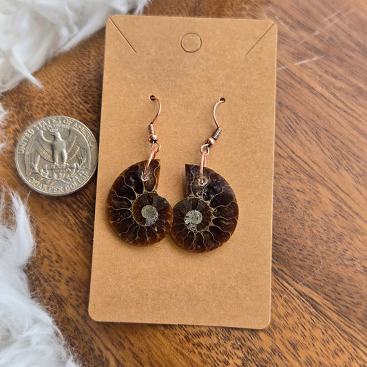 Ammonite (Sliced) Earrings 1428