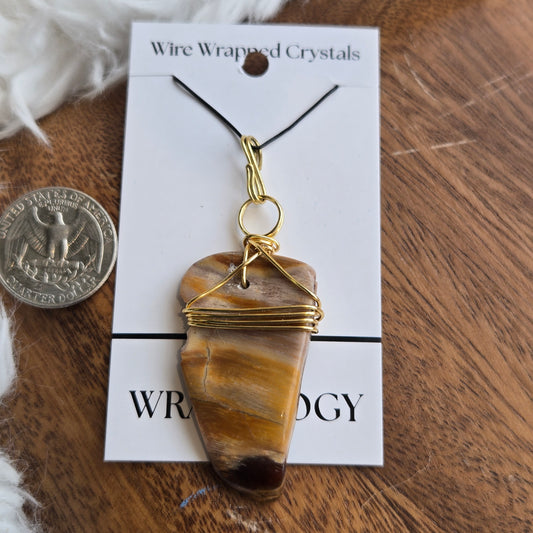 Colorado Petrified Wood Pendant 1431