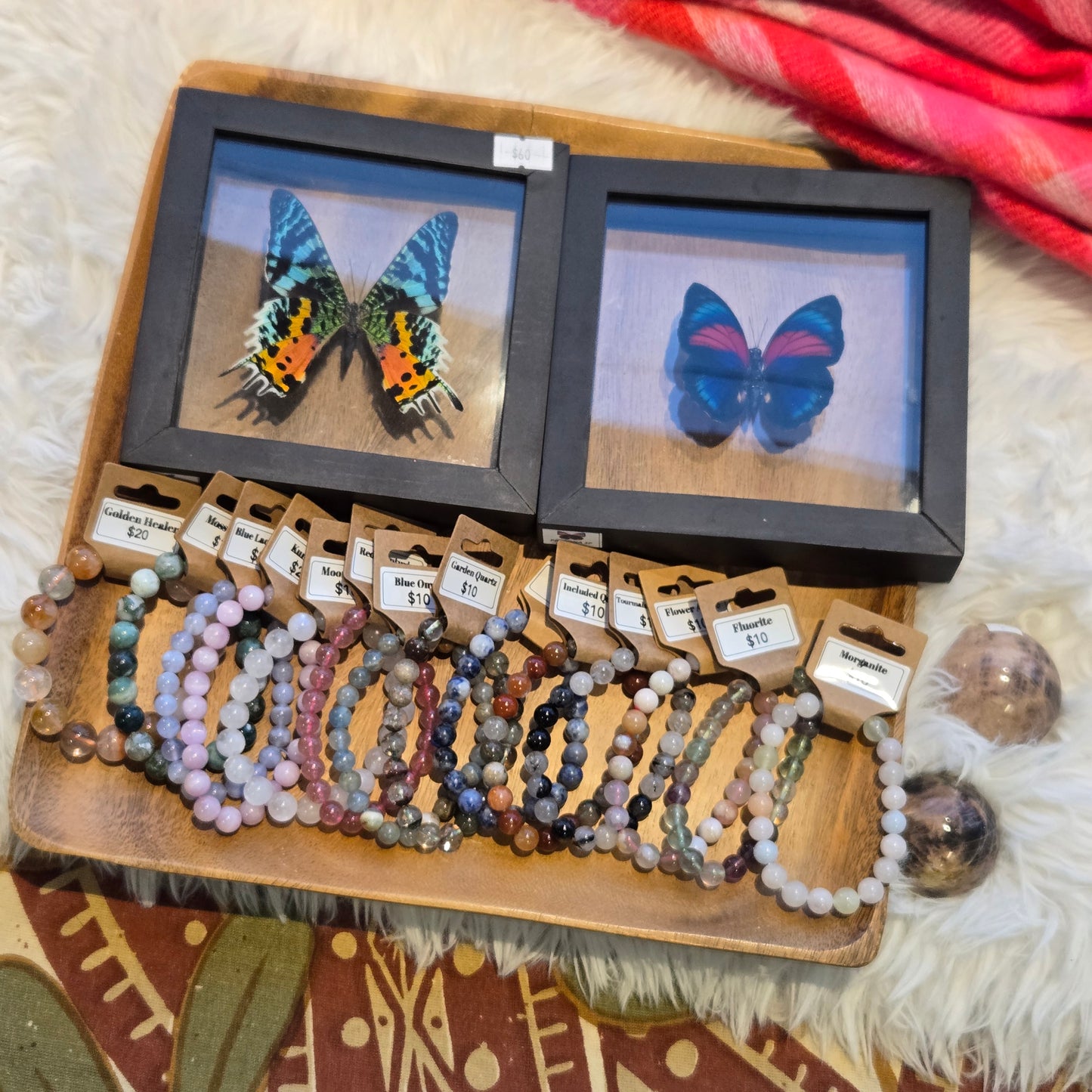 z@ savonn 1/16,23,30