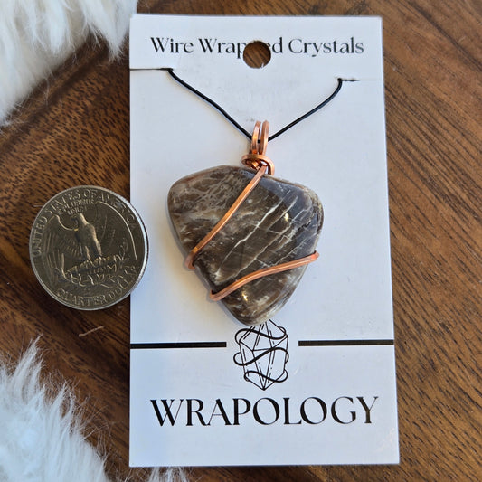 Petrified Wood Pendant 1565