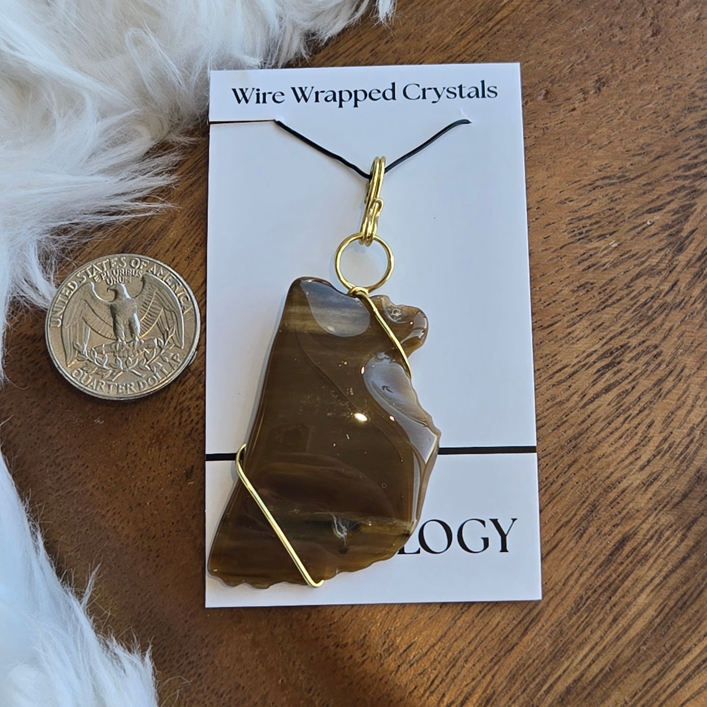Petrified Wood Pendant 1609