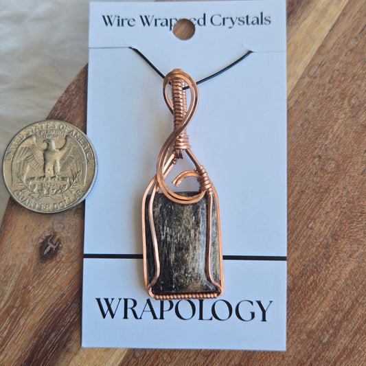 Petrified Wood Pendant 1705