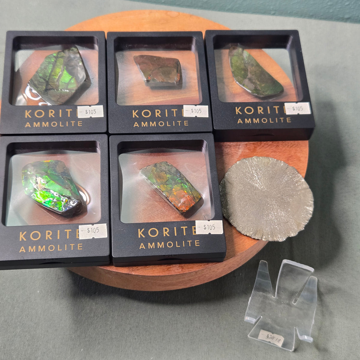 z@ cretaceousartifacts 10/23